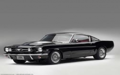 Vecais labais mustangs