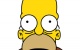 HOMER