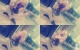 enuks